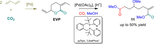 Palladium-catalyzed methoxycarbonylation of a commodity CO2-sourced δ-valerolactone