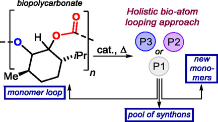 Enabling a Diversity-Oriented Catalytic Atom Looping of a Biobased Polycarbonate