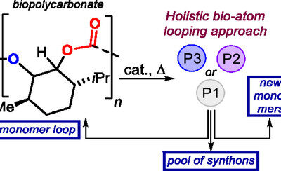 Enabling a Diversity-Oriented Catalytic Atom Looping of a Biobased Polycarbonate