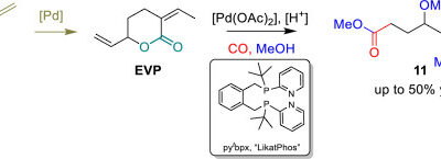 Palladium-catalyzed methoxycarbonylation of a commodity CO2-sourced δ-valerolactone
