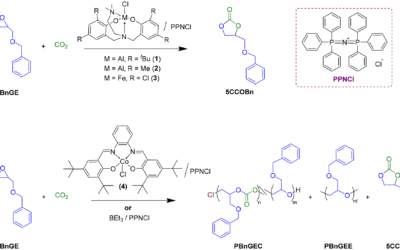 CO2/epoxides ring-opening copolymerization towards hydroxy-functionalized polycarbonates